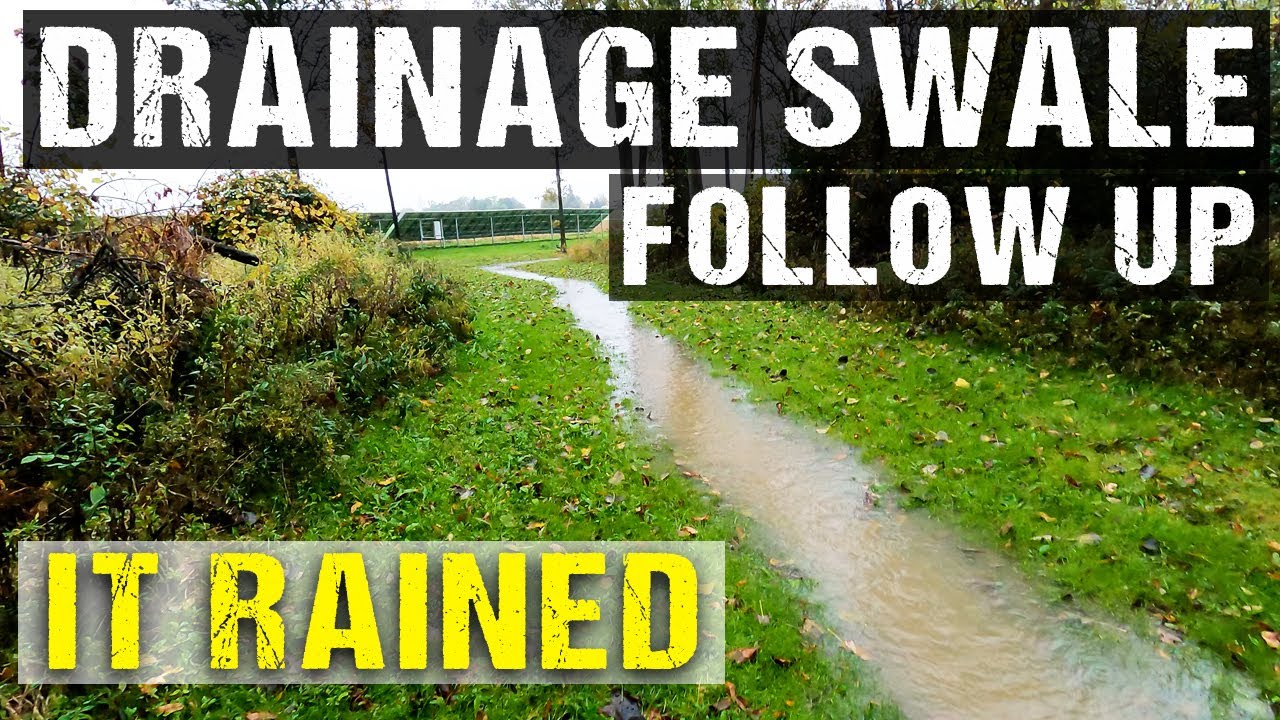 It Rained! Follow Up to 