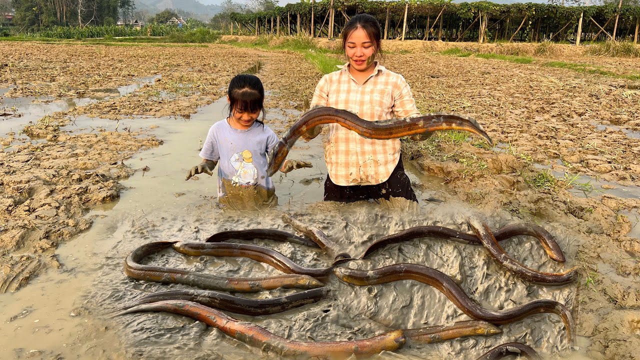 A single mother and her daughter Ali catch eels together - and prepare and cook dishes from eels.
