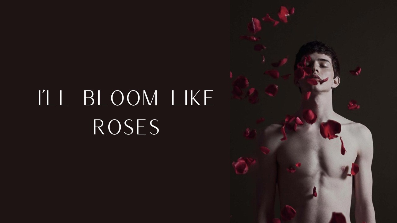 Notes for My Boy - I'll Bloom Like Roses (official audio)