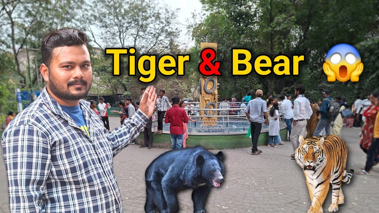 पुणे का फेमस कात्रज चिड़ियाघर 🦁 | Tiger & Bear Live | Full Zoo Vlog 2026