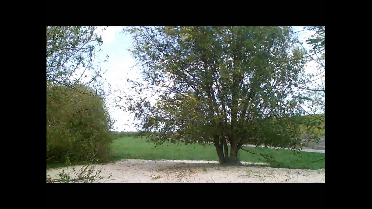 Altes Land Umgebungsfilm Twielenfleth