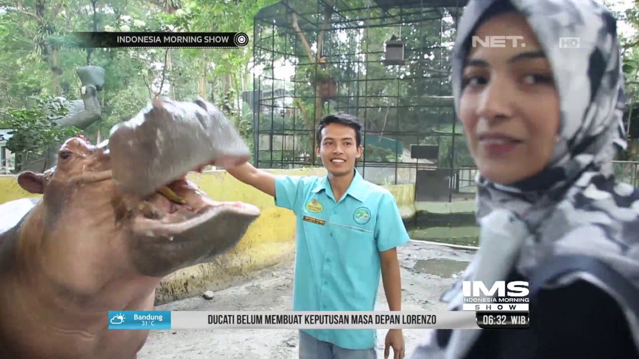 Halal Living - Ragam Fauna di Taman Hewan Pematang Siantar