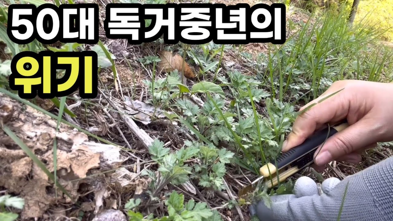50대 1인가구 아무거나 막 먹고 게으르게 인생  설렁설렁 막 살다가 갱년기 이후 많은 질병에 시달리고 있는 독거중년