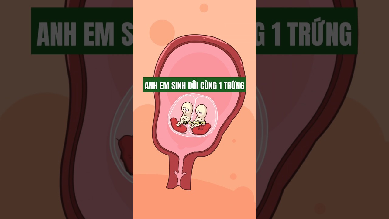 HOẠT H&Igrave;NH VUI NHỘN | Anh em sinh đ&ocirc;i c&ugrave;ng trứng #douyin #shorts #hoathinhvuinhon #cartoon #funny