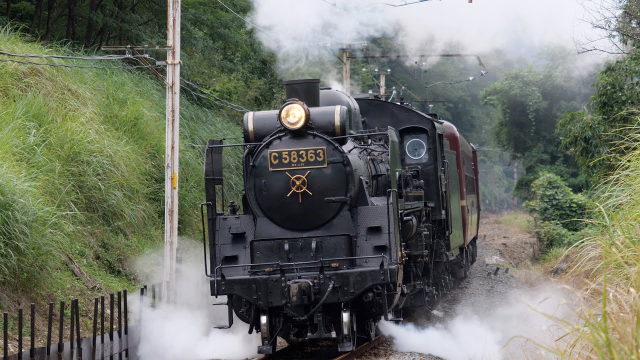 【関東のSL4種】2022夏の走行シーン！［4 types of Japanese Steam locomotives in Kanto region］C 11,C 12,C 58,D 51