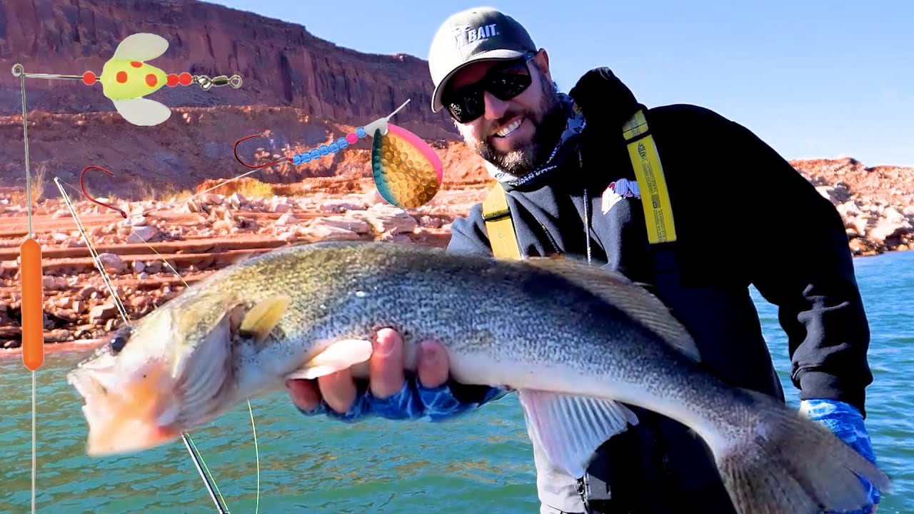 CATCHING WALLEYE WITH BOTTOM WALKERS AT LAKE POWELL, YAKIMA BAIT.