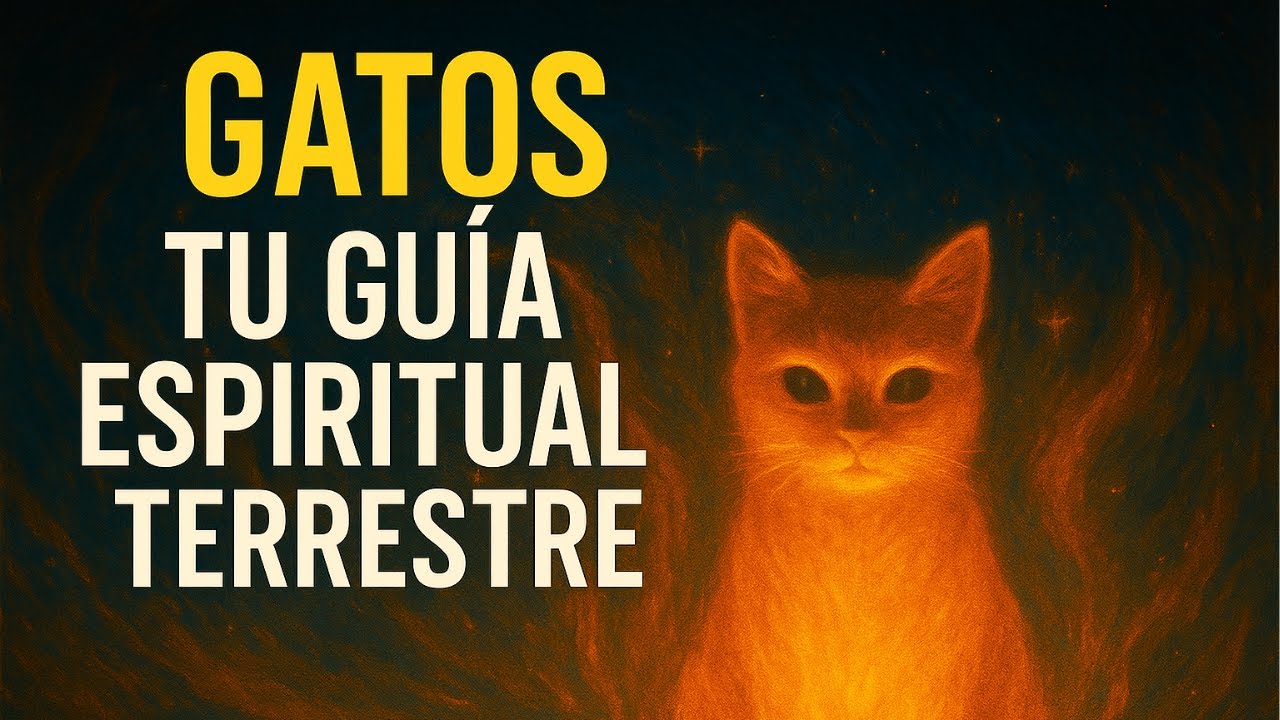 ¿Por Qué los Gatos Son Nuestros Guías Espirituales? | Jacobo Grinberg