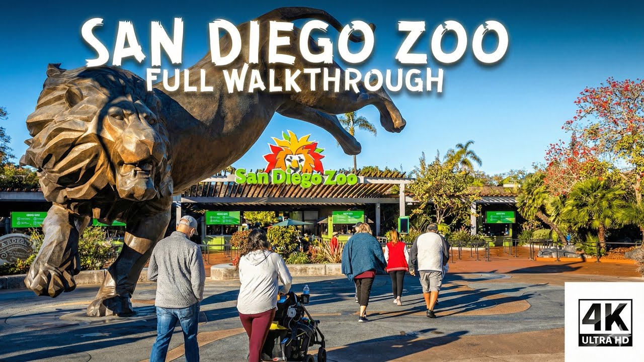 San Diego Zoo Walkthrough (4K UHD POV) | No Narration