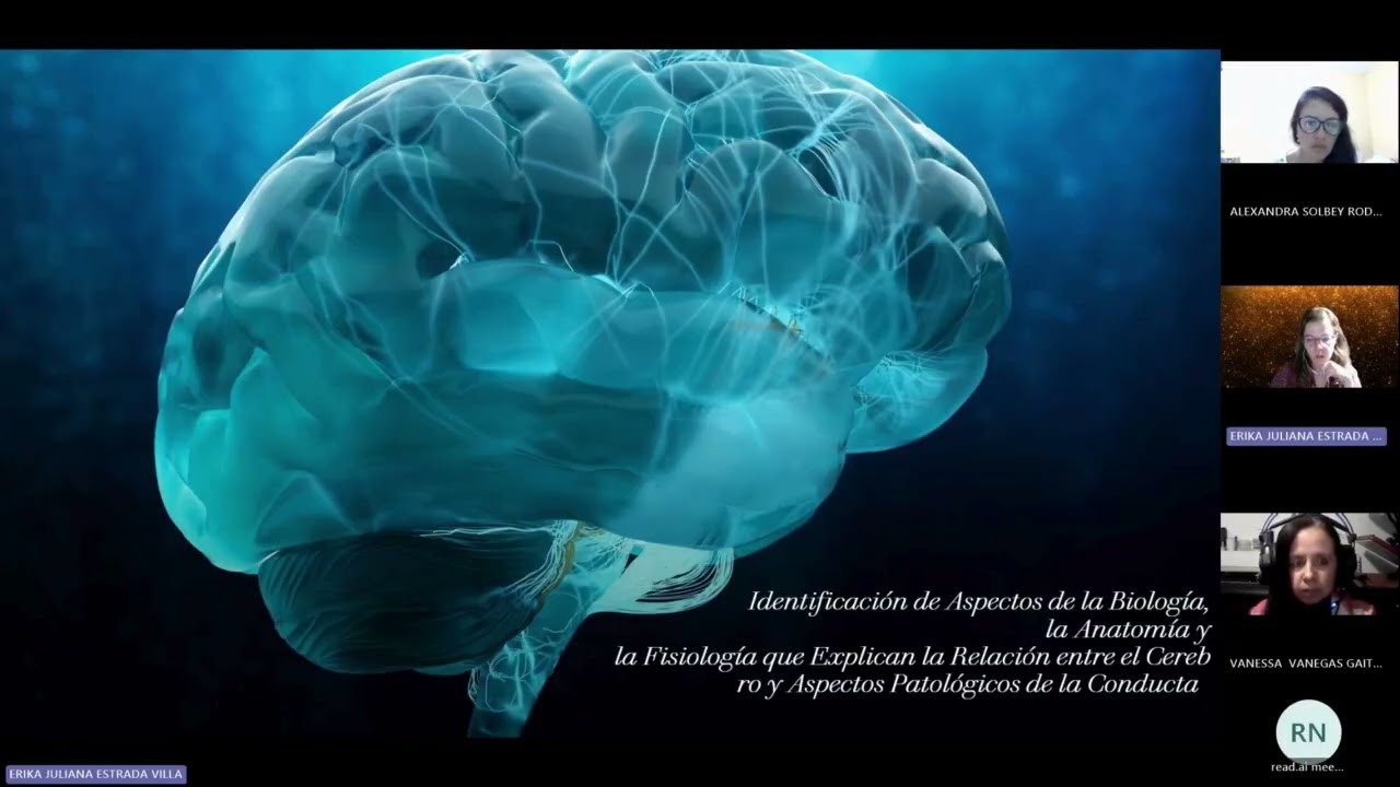 Relación cerebro – conducta patológica: bases biológicas, anatómicas y fisiológicas