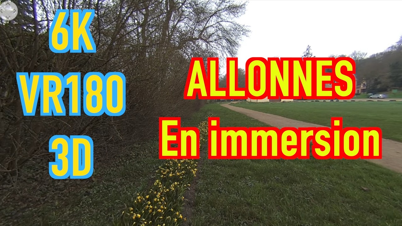 VR180 3D   6K - 50Ips - ALLONNES Promenade matinale - 26 février 2026