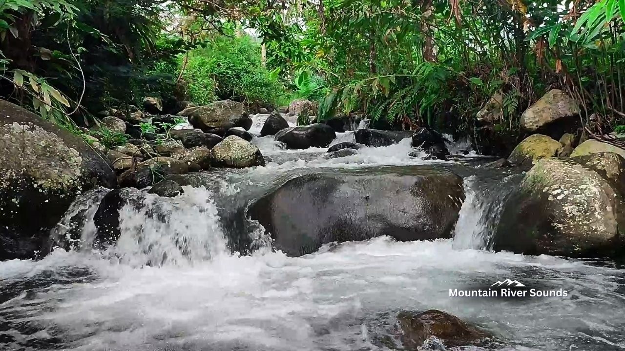 Fall Asleep Fast with Soothing River Sounds Sleep ASMR Natural White Noise