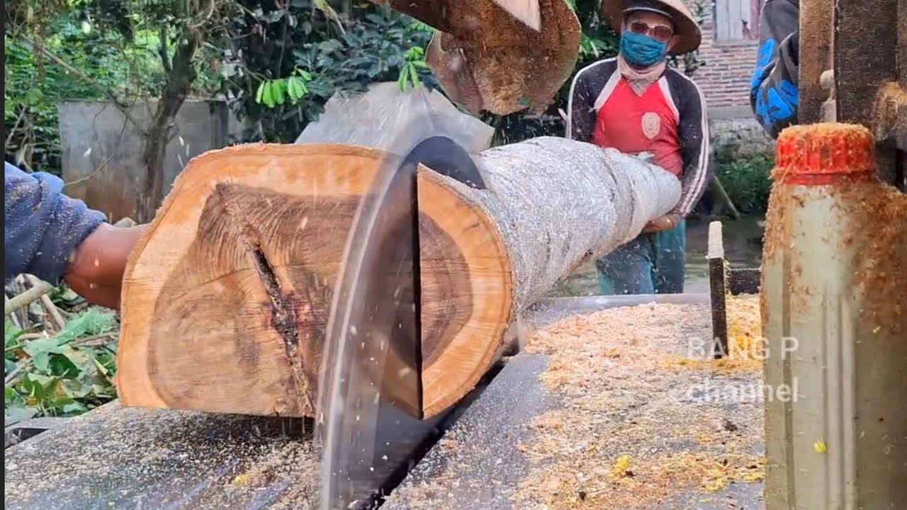 Menggergaji kayu jati Akasia Jowar  - mesin serkel rakitan