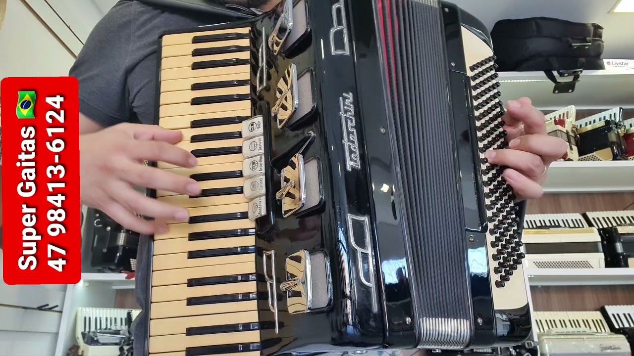 🪗 Acordeon Todeschini Artist 4 3l5 Selo verde Espingardinha verdadeir Relíquia impecável Aproveitem