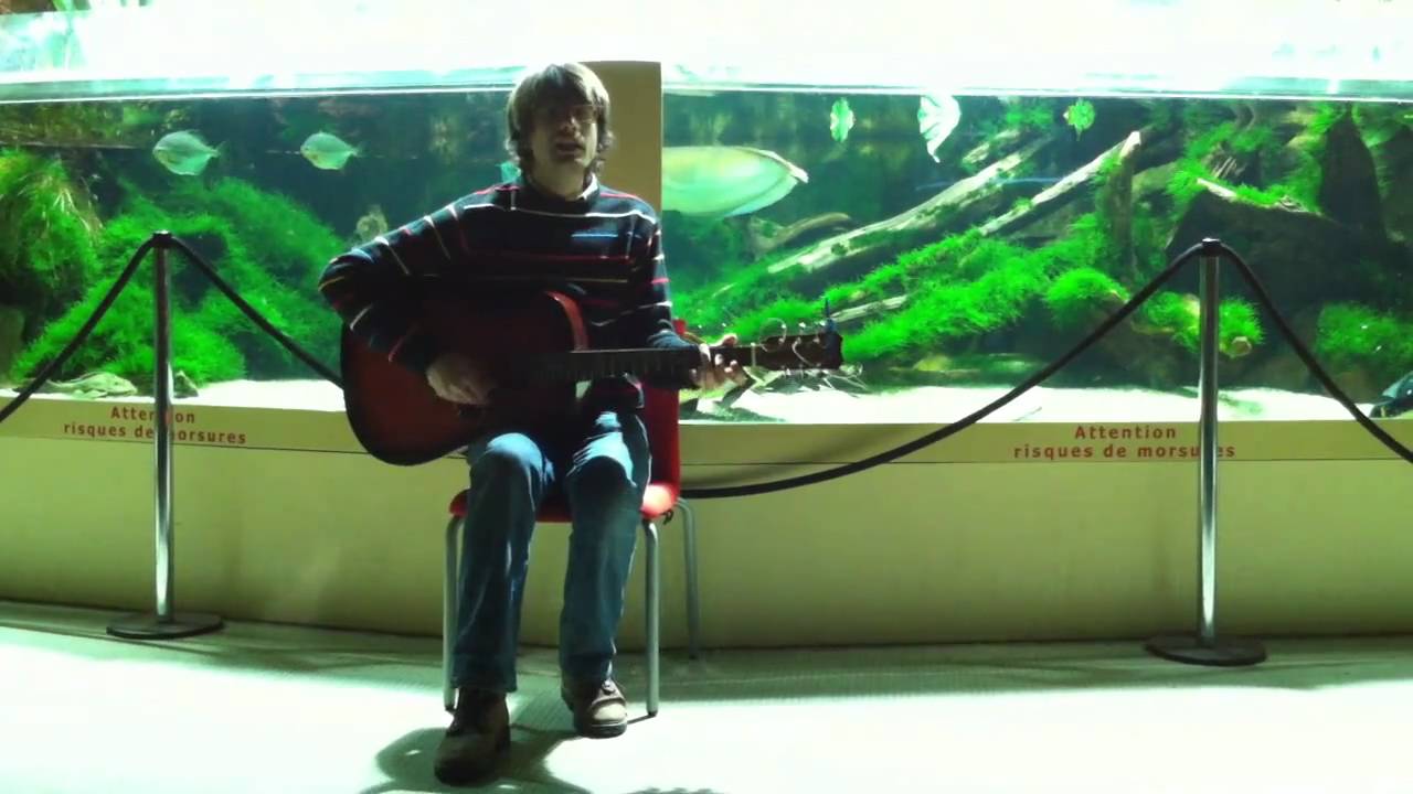 ELEPHANT MICAH - Wild Goose Chase