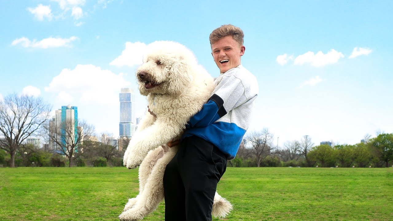 I Rented a Dog for 24 Hours