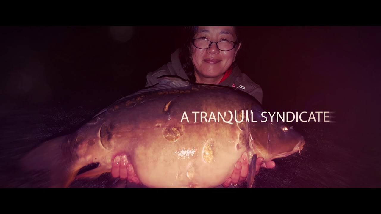 Earith Lakes Fisheries - The Trout Lake Syndicate