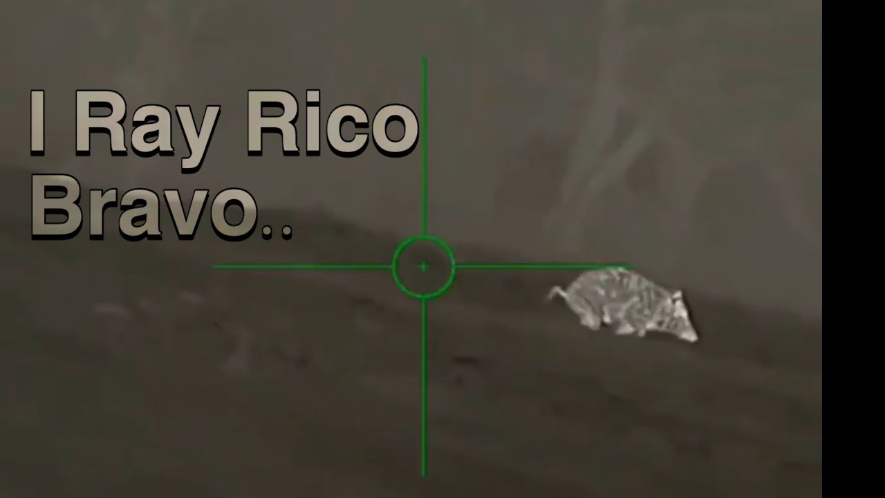 I ray Rico Bravo thermal sight ||  Hector&rsquo;s first hog