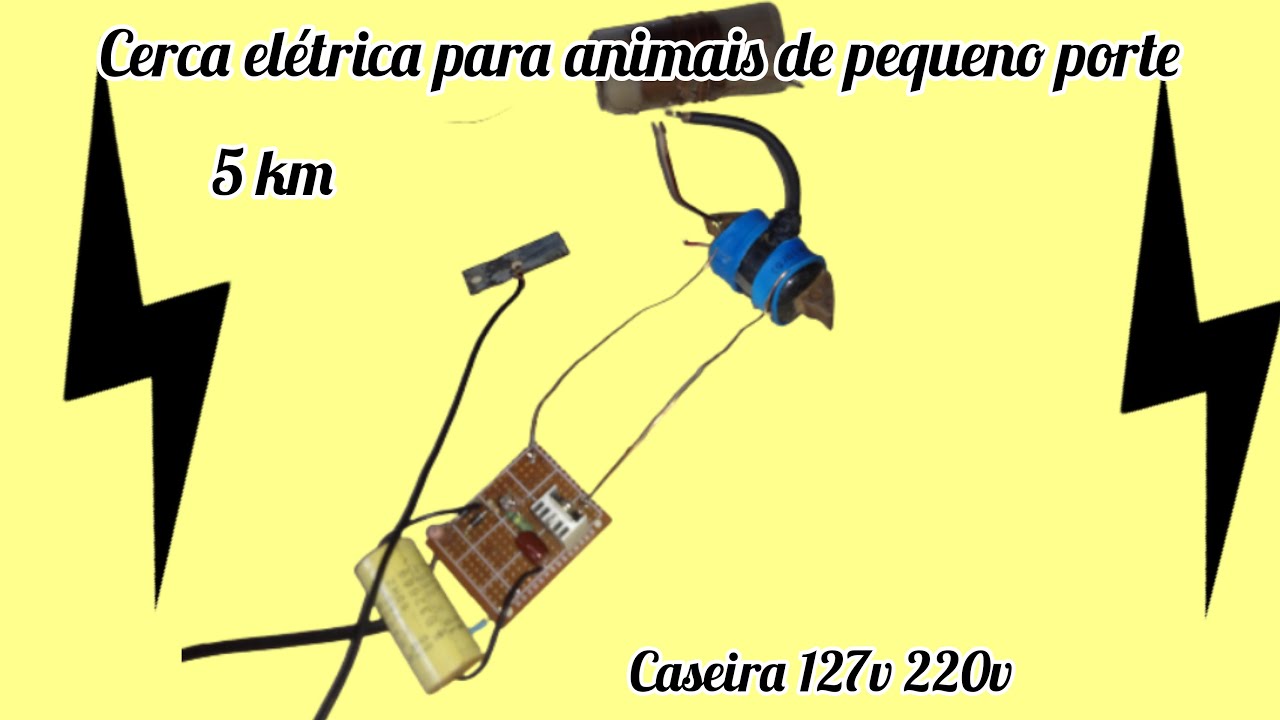 COMO FAZER UMA CERCA ELÉTRICA PARA ANIMAIS DE PEQUENO PORTE