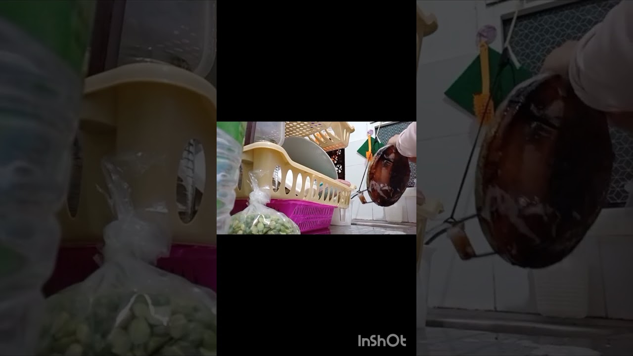 مساء الخير يا احلى متابعين 