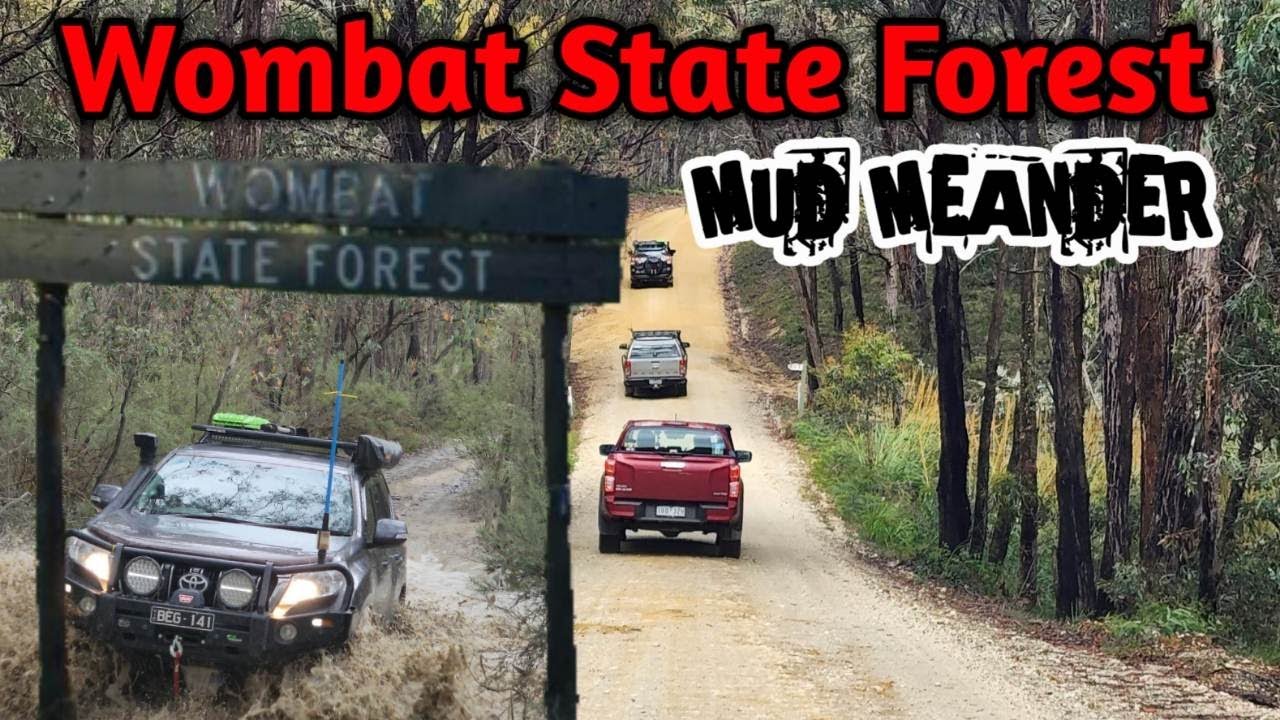 WOMBAT STATE FOREST - MMM=MUD MEANS MONEY $$$$
