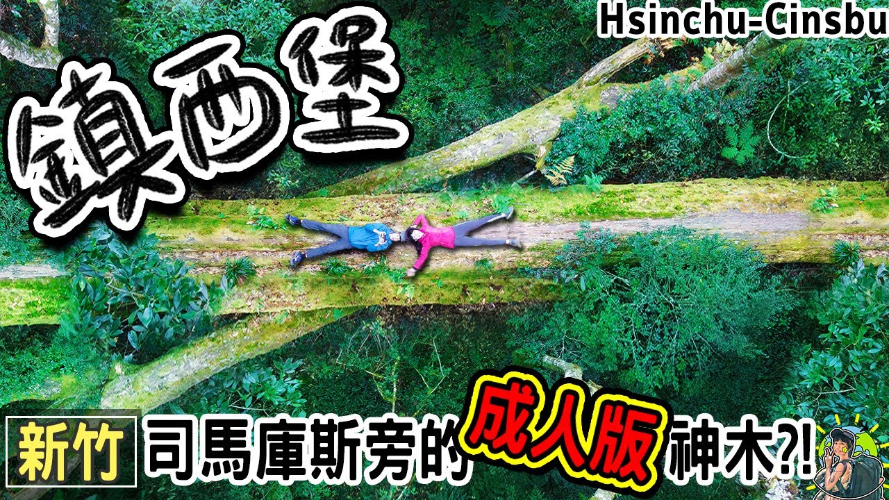 A hidden tribe with sacred trees of human-body like features  - Hsinchu, Taiwan attraction