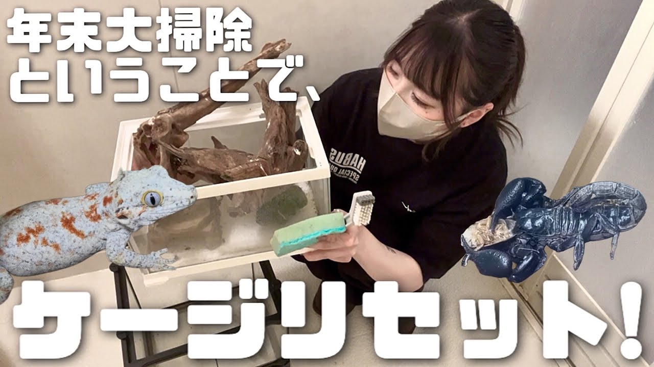 今年も1年間本当にありがとうございました！！ 【年末大メンテナンス🦎】