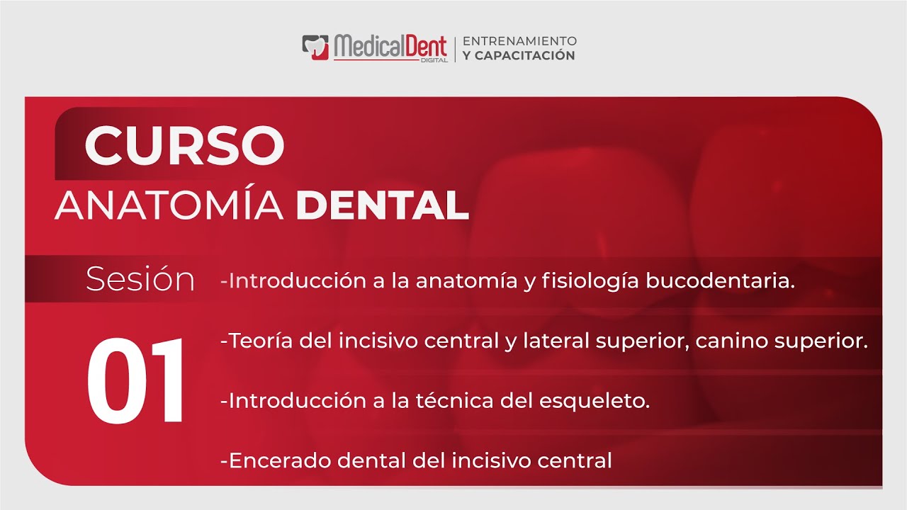 CURSO ANATOMÍA DENTAL - SESIÓN 1
