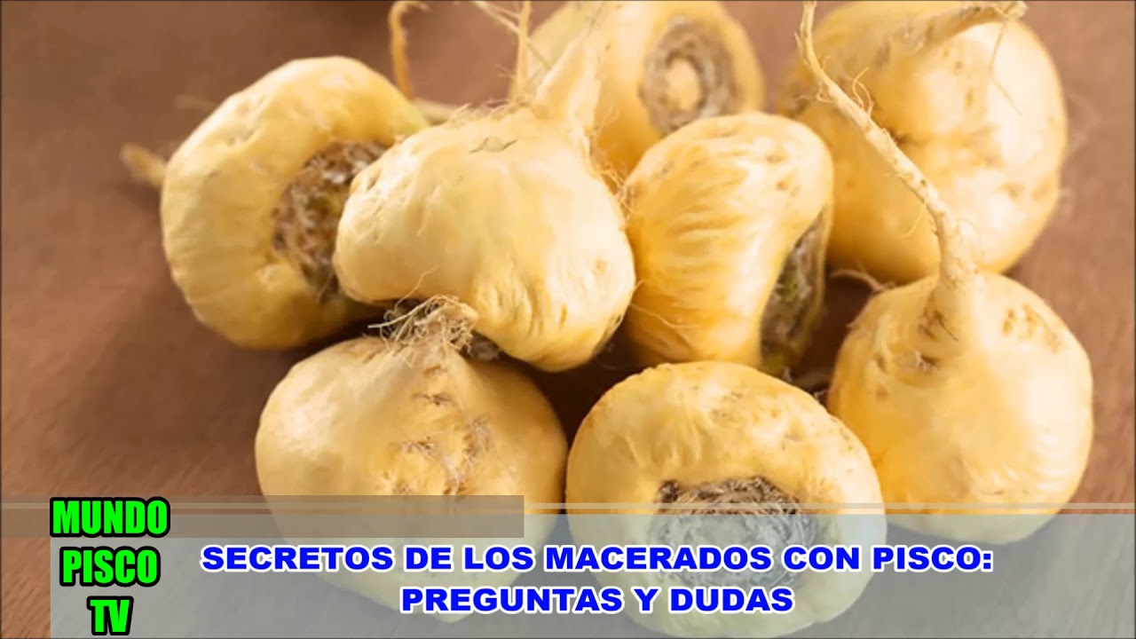 SECRETOS DE LOS MACERADOS CON PISCO,CON FRUTOS Y HIERBAS DEL PER&Uacute;,C&Oacute;CTELES CON PISCO-DIOMEDES ARANGO