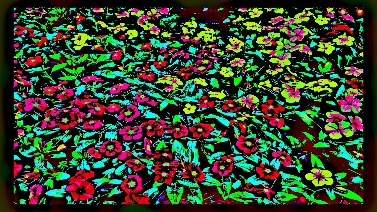 WATER  FOR  A  GARDEN  ---  (2026)