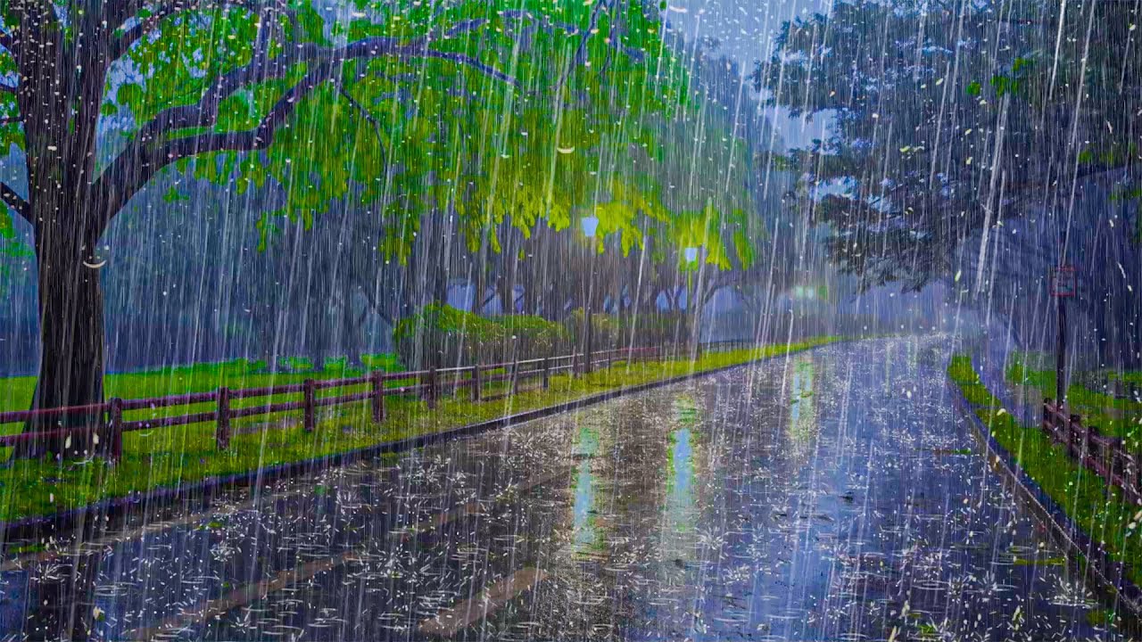 Superare l'insonnia in 5 minuti con forti Piogge sulla strada vuota nel parco, nessun Tuono