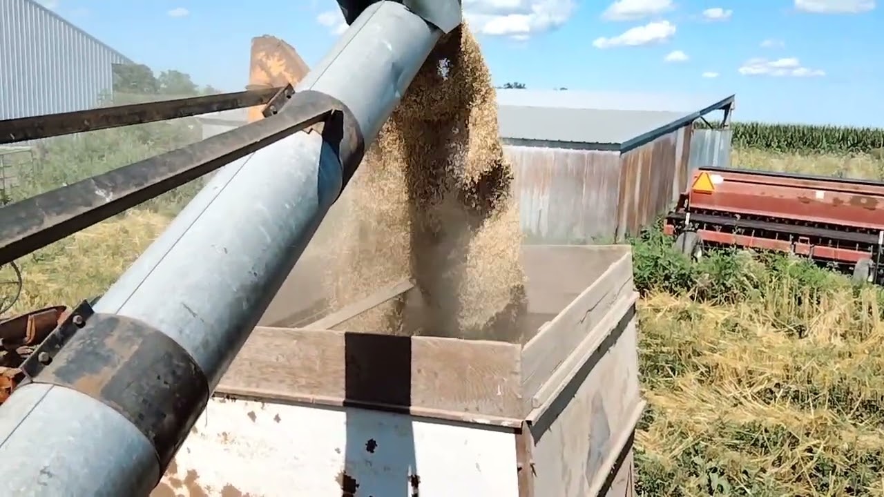 Offloading the oats