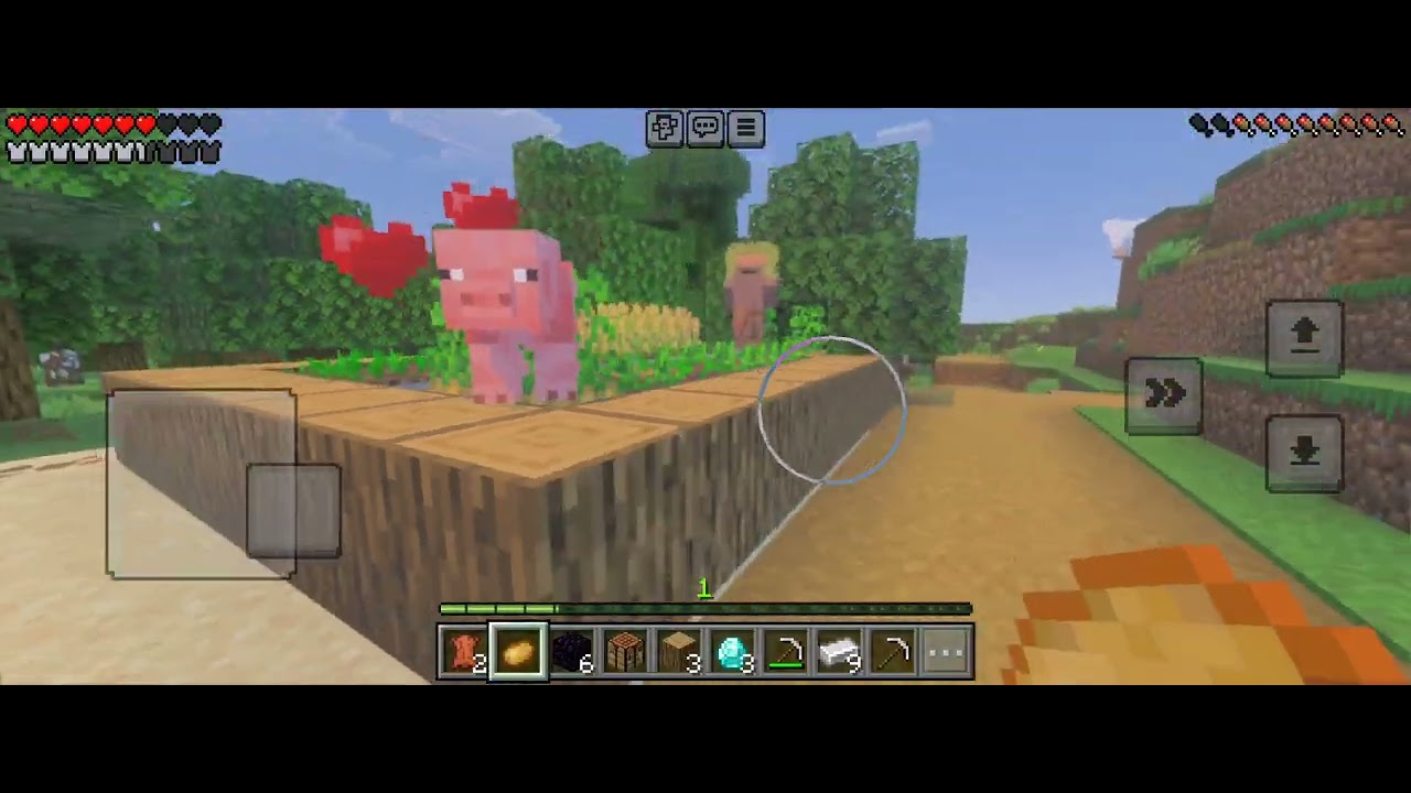 Minecraft survival