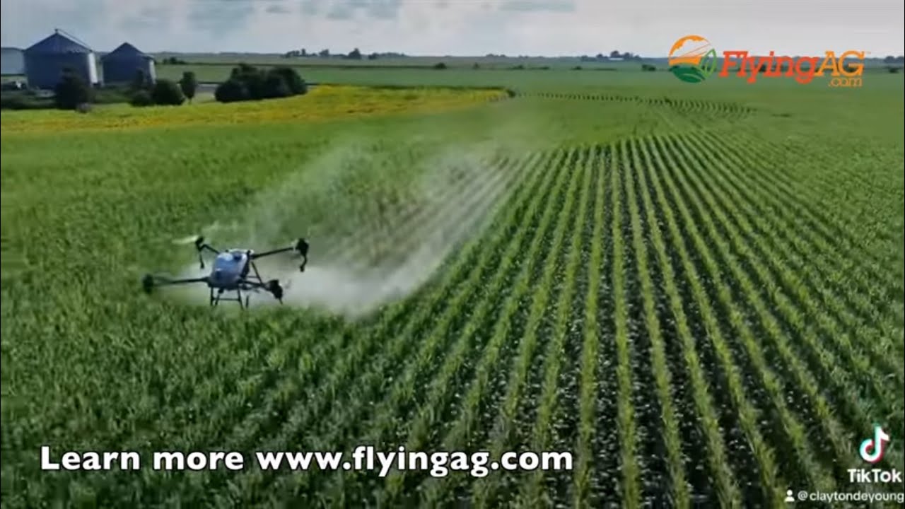 Why Add a Sprayer Drone to Your Farm? Farmer Insights on his decision.