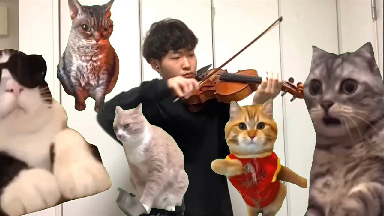 【猫ミーム】玄人向け素材をヴァイオリンで弾いてみた