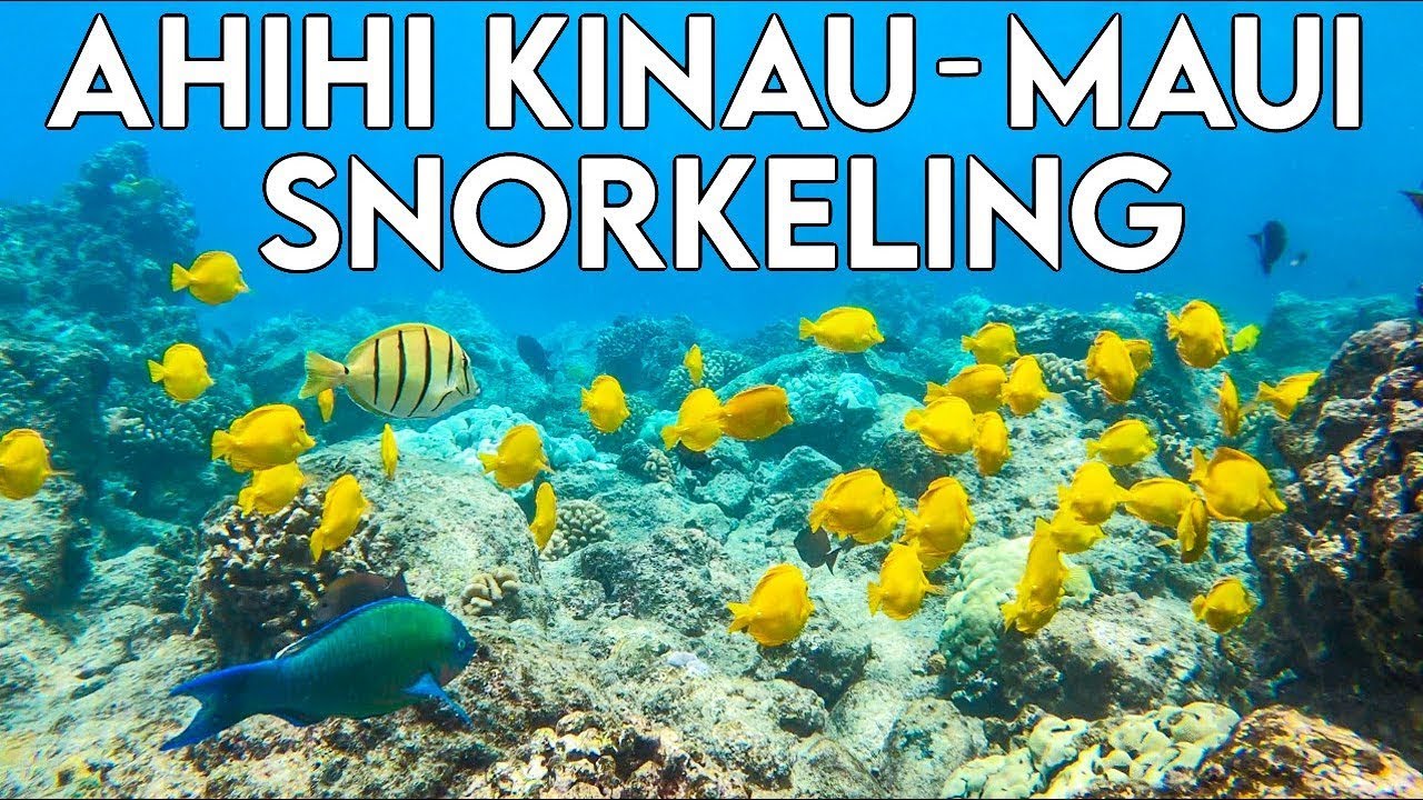 Snorkeling at Ahihi Kinau Nature Reserve | Maui Hawaii