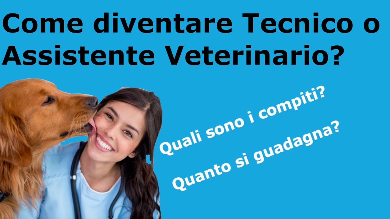Come diventare Tecnico Veterinario o Assistente Veterinario, cosa fanno e quanto guadagnano?