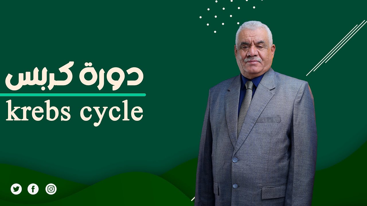 دورة كربس krebs cycle