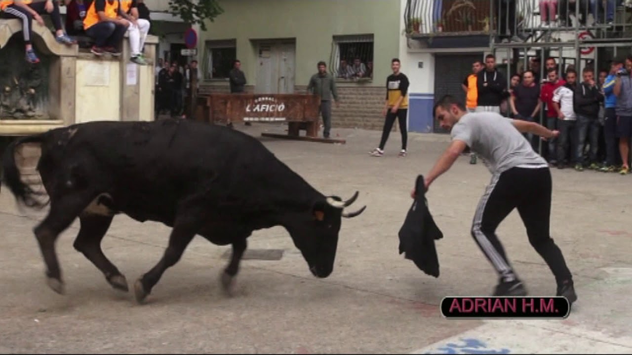 VIDEOCLIP DVD BOUS ADRIÁN HERNÁNDEZ MARÍ 2018 1º PARTE 2º DVD