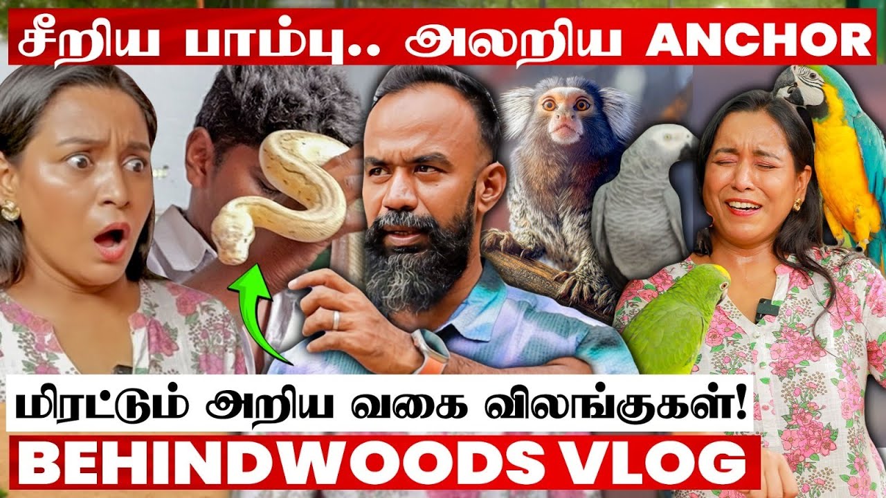 அரிய வகை விலங்குகள் வளர்க்கும் பல் DOCTOR!😮 மிரளவைக்கும் MINI ZOO..!😮 திகில் VISIT