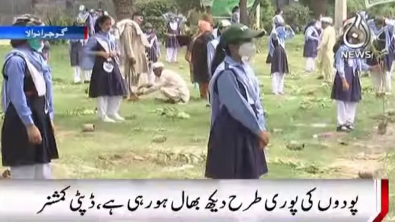 Podon Par Siyasat Samajh Say Bala Taar Hai | Deputy Commissioner Gujranwala | Aaj News