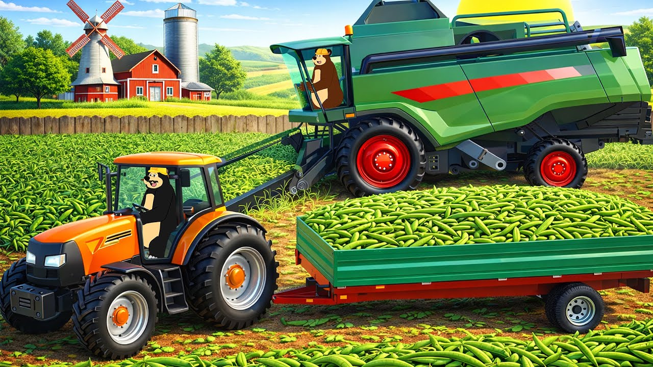 Farm Work Day: Green Bean Planting & Harvest | Real Farm Animation