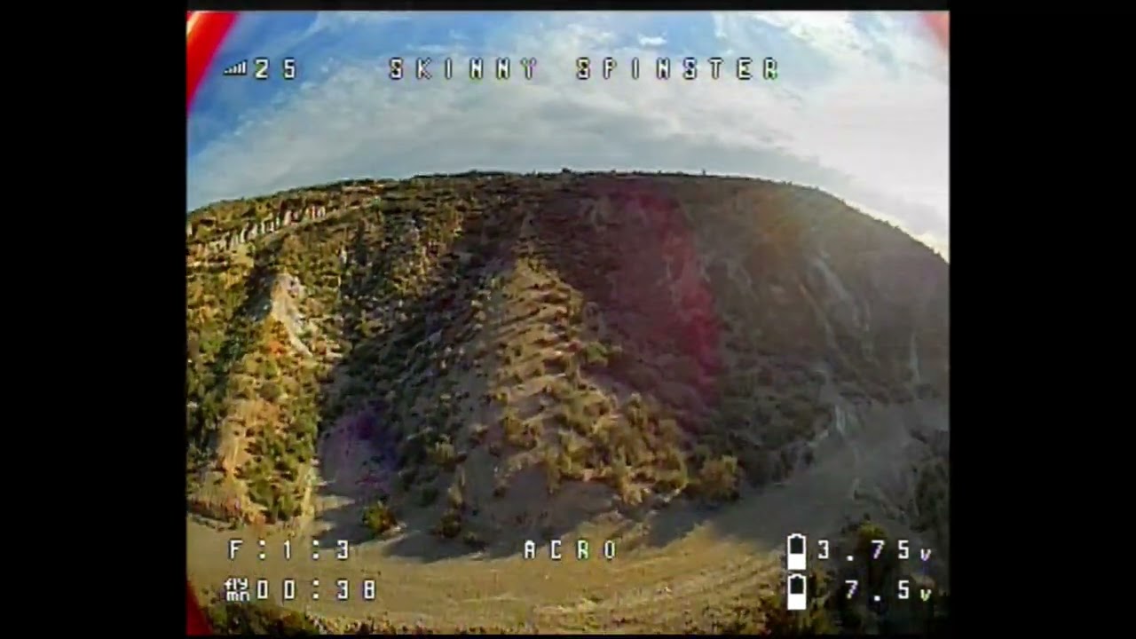 Skinny Spinster FPV: Hump Day Horror