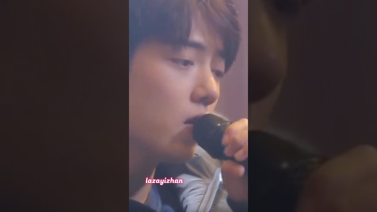 song for DD 🐰🦁❣️#xiaozhan #wangyibo #yizhan