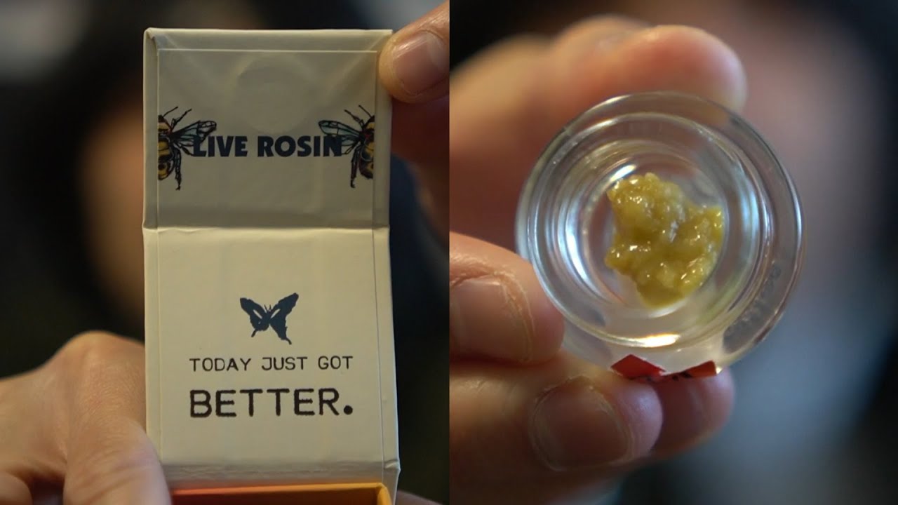 REVISITING CLSICS LIVE ROSIN