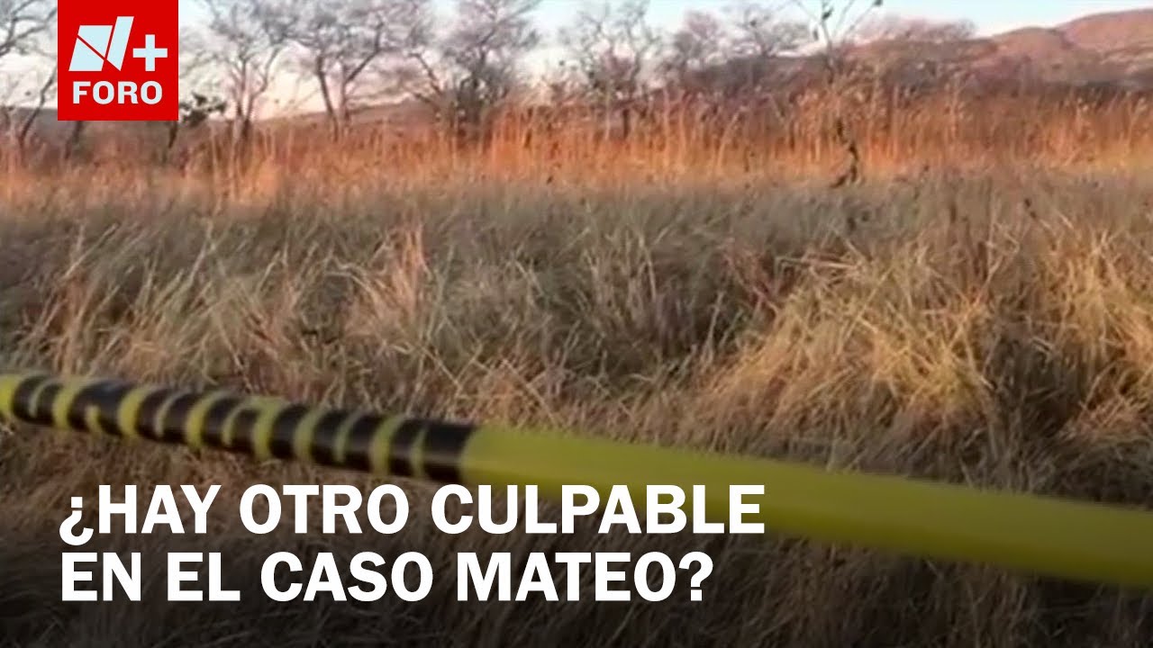Investigan posible segundo culpable en homicidio de Mateo en Guanajuato - Sábados de N+ FORO