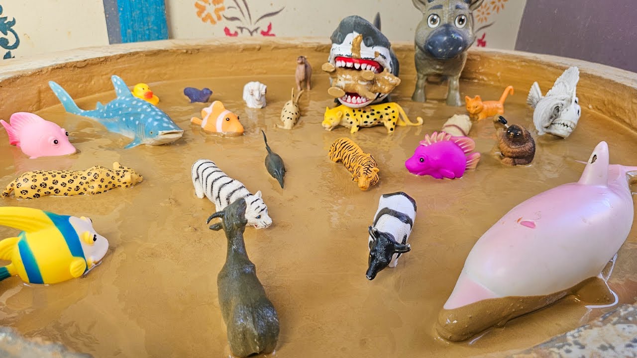 Sea Wonders & Pasture Giants: An Expedition of Ocean and Farm Animals!