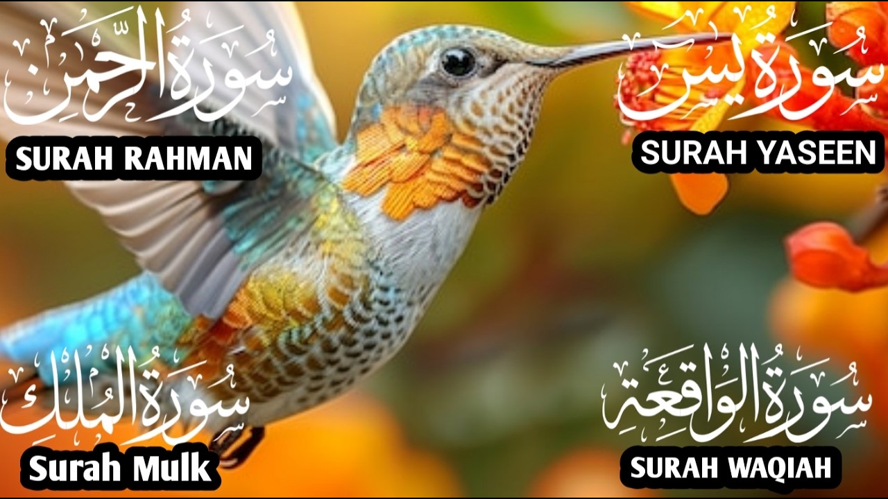 تلاوة تريح القلب سورة يس❤️الواقعة❤️الرحمن❤️الملك❤️ لزيادة الرزق و البركة.Yaseen🔴Rahman🔴Mulk✅💯#quran