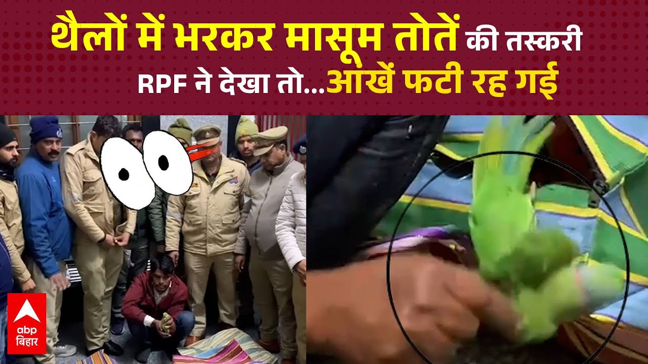 Parrot Smuggling | Bird Trafficking: मासूम तोतें की तस्करी का भंडाफोड़, सांस लेने को तड़प रहे थे |