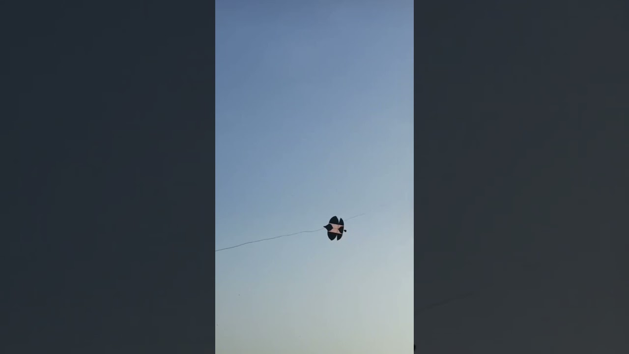Kite Flying short | Kite Flying Video | Teera pana | fighter kite's #viral #ytshort #tiktok #trend